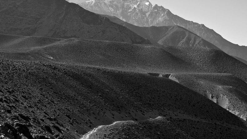 رستوران اکبری